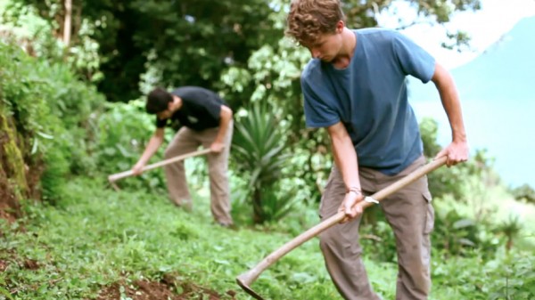 Para criar sua própria área de cultivo, os quatro recorreram a uma linha de micro-crédito.