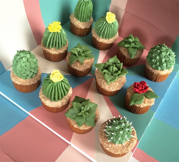 House-Plant-Cactus-Cupcakes-1b