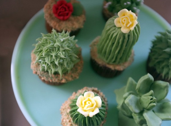 House-Plant-Cactus-Cupcakes-2