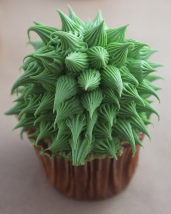 House-Plant-Cactus-Cupcakes-4