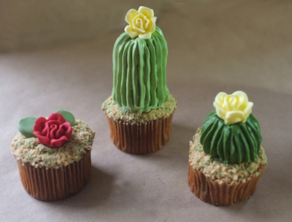 House-Plant-Cactus-Cupcakes-5