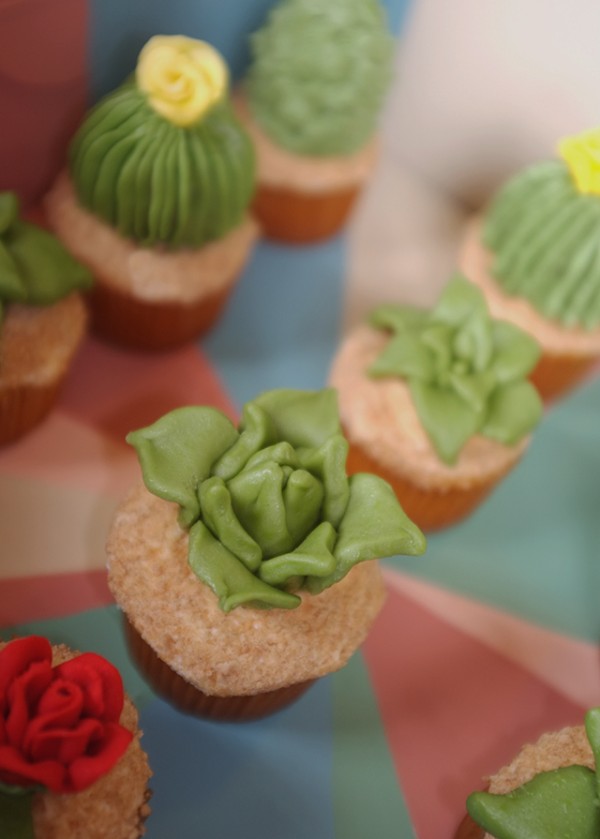 House-Plant-Cactus-Cupcakes-8