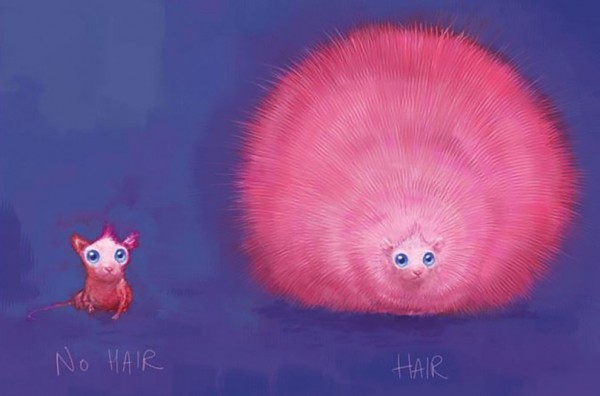 Arnold-Pygmy-Puff